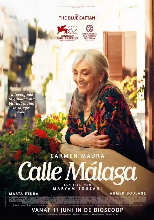 CalleMalaga_134253986324638782_big-cine_deskt.webp