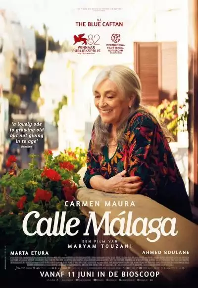 CalleMalaga_134253986324638782_big-cine_deskt.webp