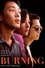posterbrurning_133992060404399551_big-cine_deskt.webp