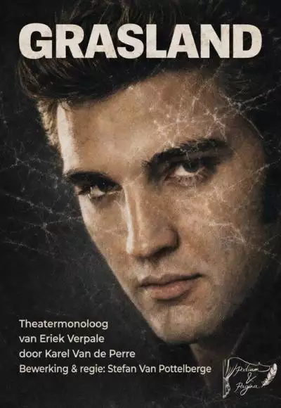 gracelandposter_134232548884580868_big-cine_deskt.webp