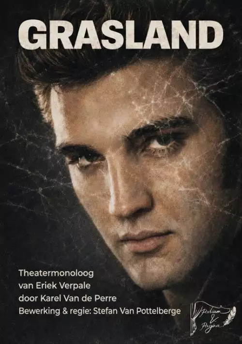 gracelandposter_134232548884580868_big-cine_deskt.webp
